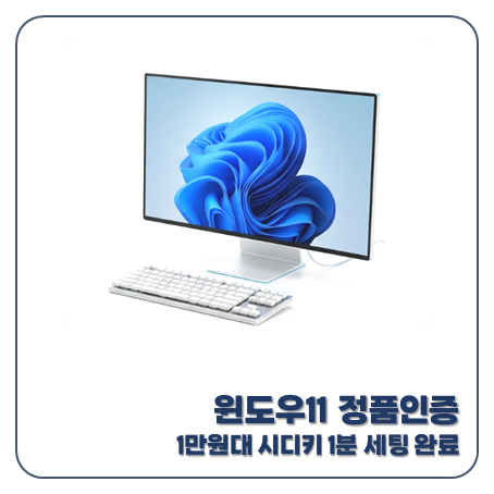 윈도우11 정품인증 1분 컷! 1만원대 시디키 구매부터 업데이트 방법