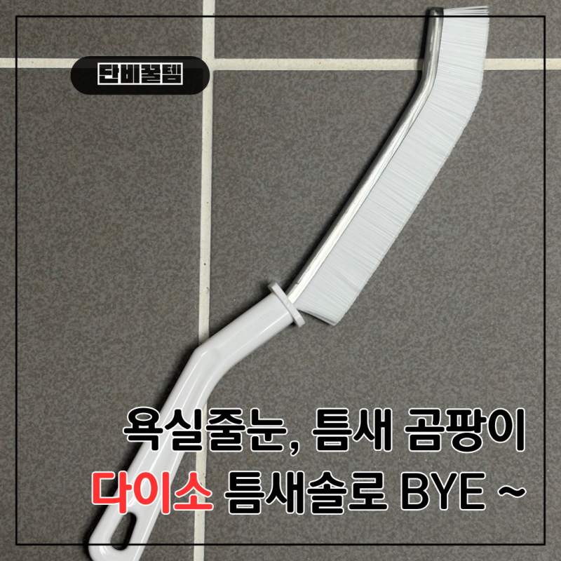 천원의 행복! 다이소 줄눈 틈새솔로 욕실 곰팡이·샤워부스 물때 속 시원한 제거✨