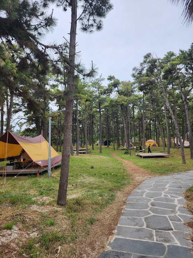 [제주도 캠핑] 협재해수욕장 무료 노지 캠핑장 완벽 가이드! 3가지 꿀팁으로 예산 절약하기