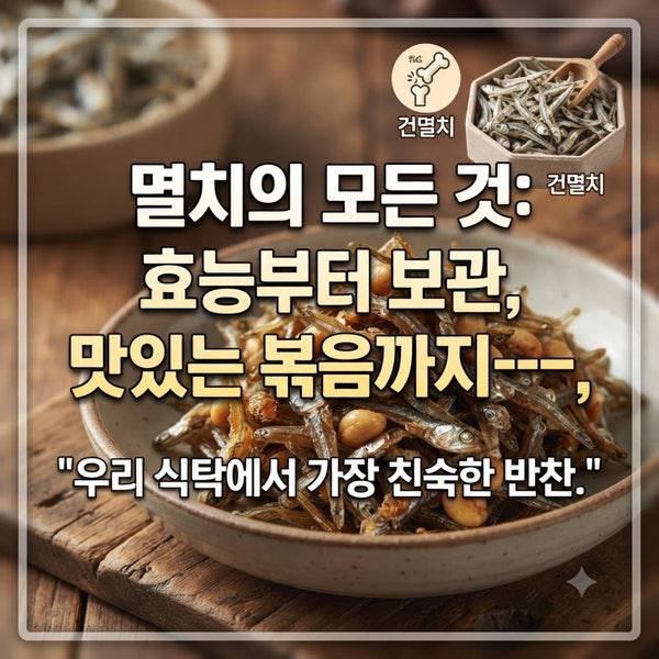 멸치의 모든 것: 효능부터 보관, 맛있는 볶음까지 : 우리 식탁에서 가장 친숙한 반찬.