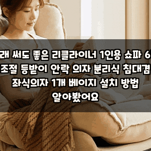 오래 써도 좋은 리클라이너 1인용 쇼파 6단 조절 등받이 안락 의자 분리식 침대겸 좌식의자 1....