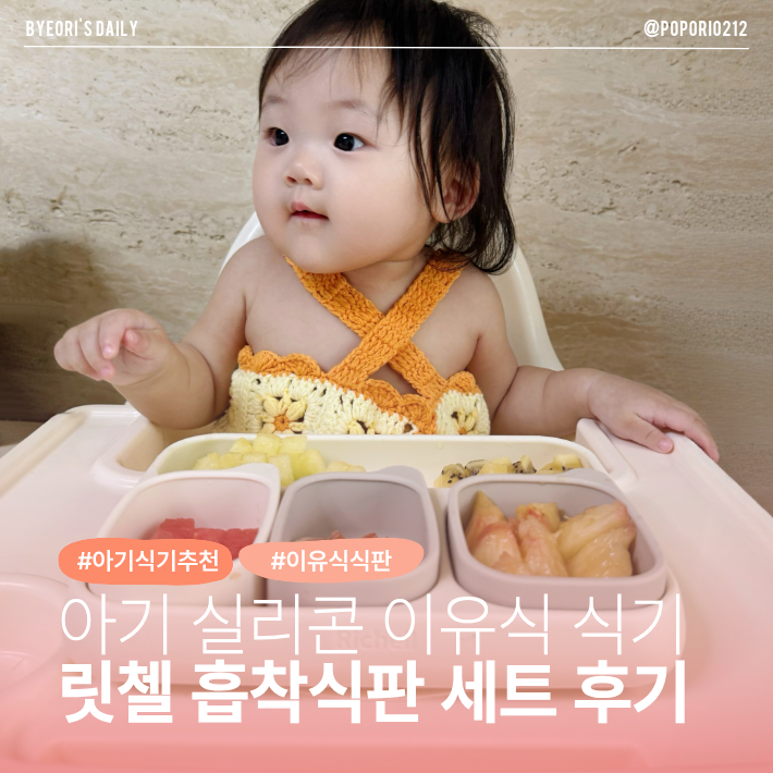 자기주도 이유식식기 릿첼 이유식 흡착식판 세트 사용 후기 | 이유식 식기 추천
