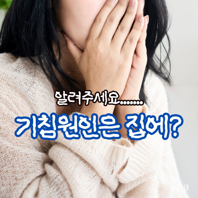 삼백초추출물 효능, 비염에 좋다길래 찾아봤는데... 영양제보다 먼저 "여기" 청소하라고?