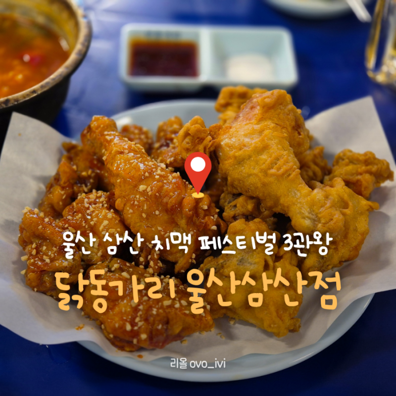울산 삼산 옛날통닭 레트로감성 치킨 술집｜닭동가리｜수상받은 치킨과 해물라면 후기