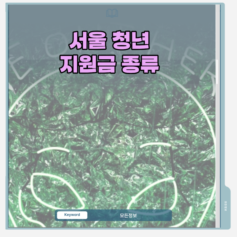 서울 청년 지원금 종류 핵심 비교: 연령 및 소득 기준별 혜택 체크