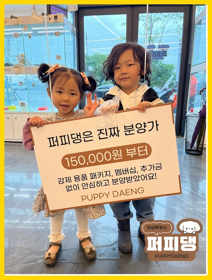 청주강아지분양 애견분양 전에 생활환경과 성향을 점검하는 방법