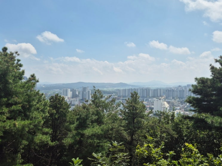 처서인 오늘 망현산에서 본 이천시내