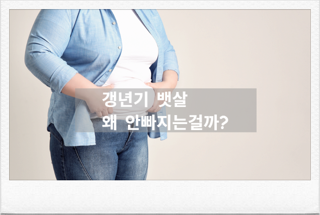 갱년기 갑자기 살찌는 이유, 운동해도 안 빠진다면 이렇게 바꿔보세요 [갱년기8년차 실전 ....
