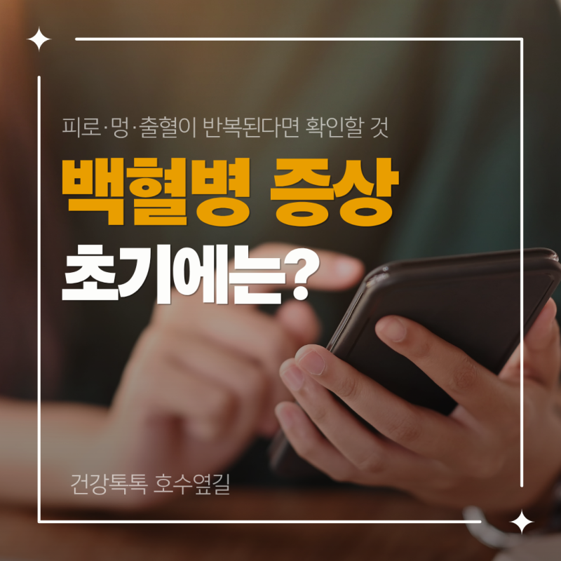 백혈병 증상, 초기에는 어떻게 나타날까? 피로·멍·출혈이 반복된다면 확인할 것