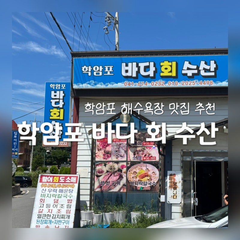 학암포 해수욕장 맛집 공개 “학암포 바다 회 수산” 내돈내산 후기