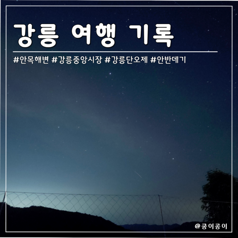 강릉 여행 기록 | 안목해변, 안반데기, 강릉중앙시장, 맛집 먹거리 정리