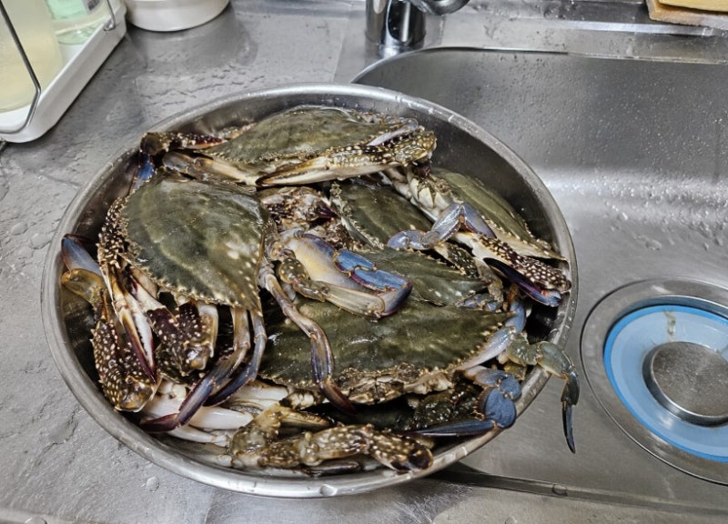 꽃게 손질법, 살아있는 꽃게 씻는 법부터 배딱지·아가미 제거까지