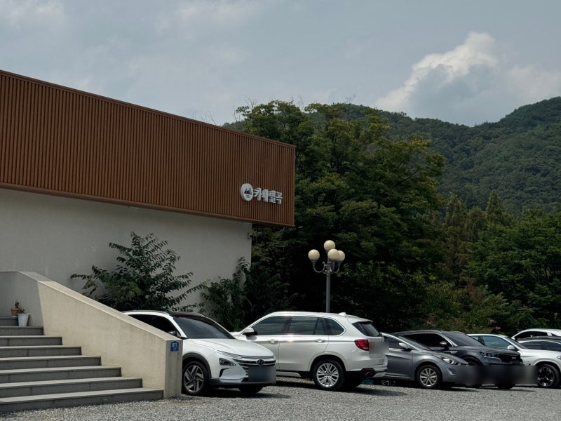 대전근교 아이랑 갈만한 곳 수락계곡 근처 무료 카약체험 카페벌곡
