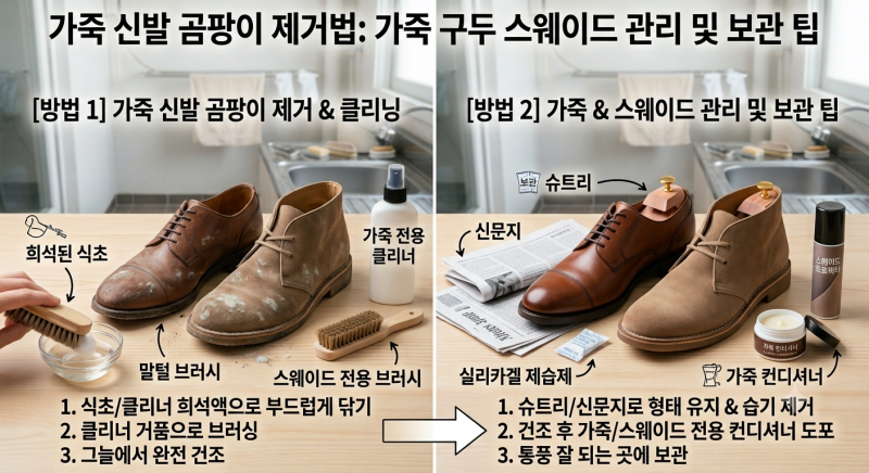 가죽 신발 곰팡이 제거법: 가죽 구두 스웨이드 관리 및 보관 팁