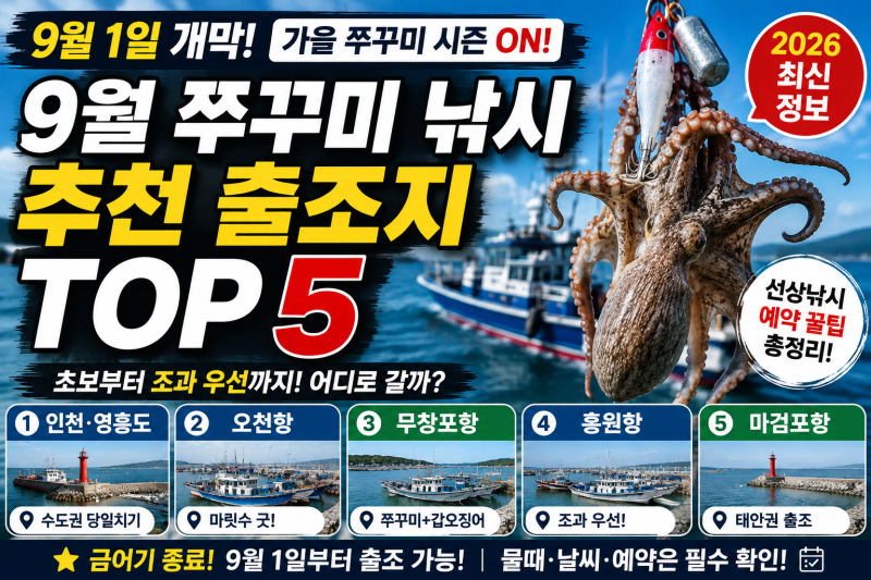 9월 쭈꾸미 낚시 어디로 갈까? 2026 추천 출조지 TOP 5