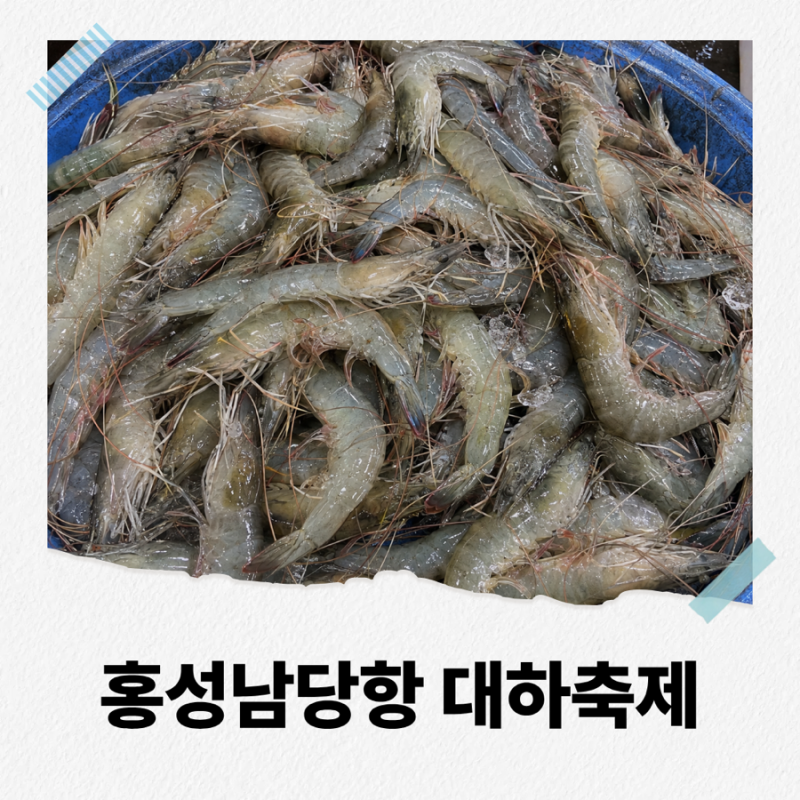 2026 홍성남당항 대하축제 주차장 3곳, 신선한 대하 고르는 법