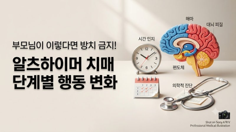 부모님이 이렇다면 절대 방치하지 마세요!" 알츠하이머 치매 초기·중기·말기 진행 단계별 ....