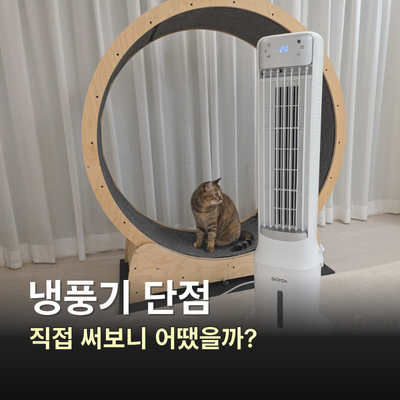 냉풍기 단점 걱정됐다면? 고요아 이동식 냉풍기 써보니