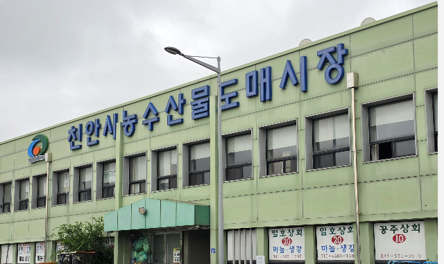 천안 직산 농수산물도매시장(수산동 맛조개를 찾아서)