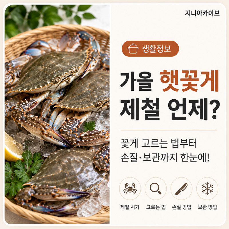 가을 햇꽃게 제철 언제? 꽃게 고르는 법부터 손질·보관까지