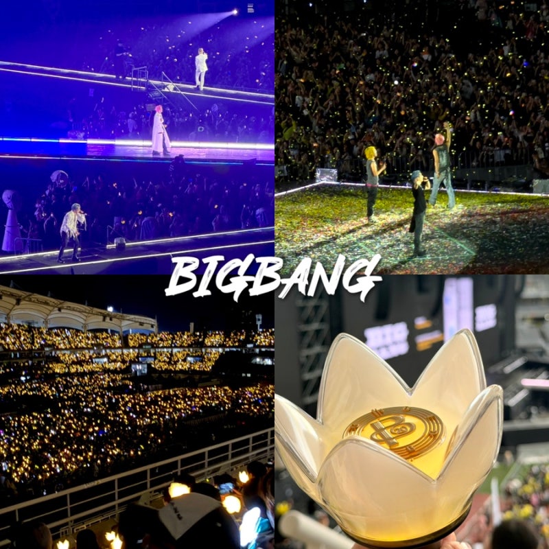빅뱅 콘서트 중콘 고양종합운동장 3층 E11구역 6열 20 21