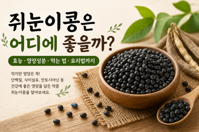 쥐눈이콩은 어디에 좋을까? 효능·영양성분·먹는 법·요리법까지