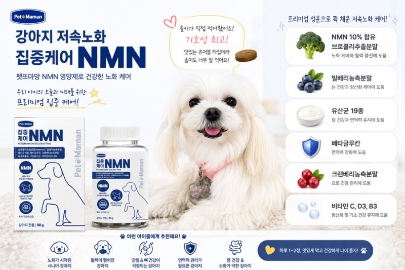 펫또마망 NMN 영양제로 시작한 우리 강아지 저속노화 케어