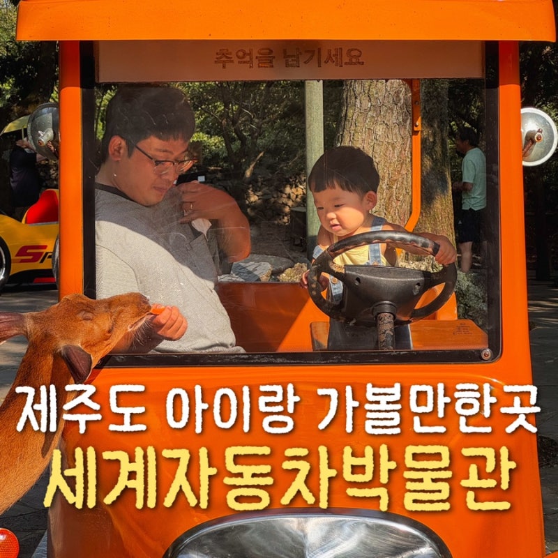 제주도 아이랑 가볼만한곳 중문 관광지 세계자동차박물관
