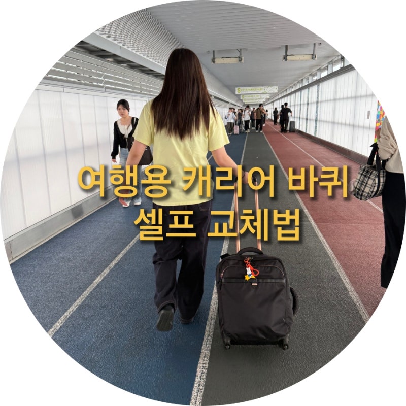 노후된 여행용 캐리어 고장 난 바퀴 구매 셀프 교체 수리 방법 총정리!(단종된 부품 살리는 ....