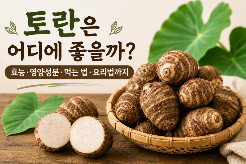 토란은 어디에 좋을까? 효능·영양성분·먹는 법·요리법까지