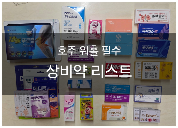 [호주 워홀 준비] 상비약 리스트 공유 (용인 코스트팜 후기)
