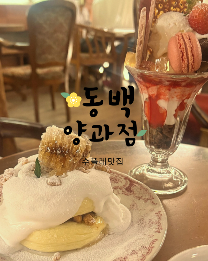 익선동 맛집 코스｜빠리가옥에서 식사하고 동백양과점까지