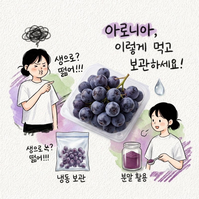 아로니아 먹는법과 보관법 지나 냉동 분말 종류 칼로리