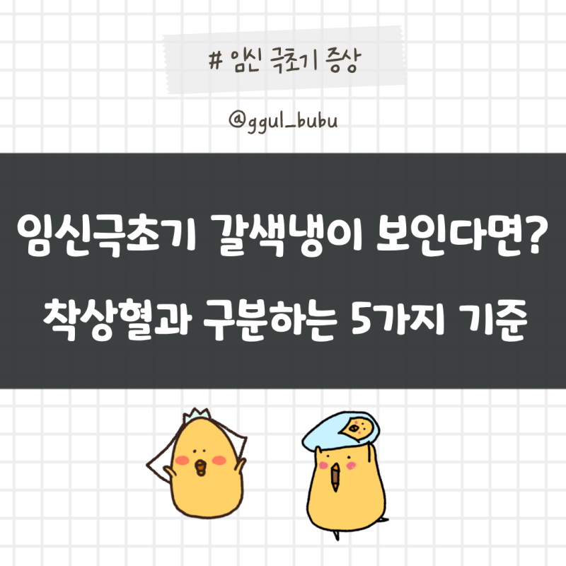 임신극초기 갈색냉 보인다면? 착상혈과 구분하는 5가지 기준