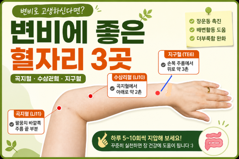 변비에 좋은 혈자리 3곳｜곡지혈·수삼리혈·지구혈 위치와 지압법