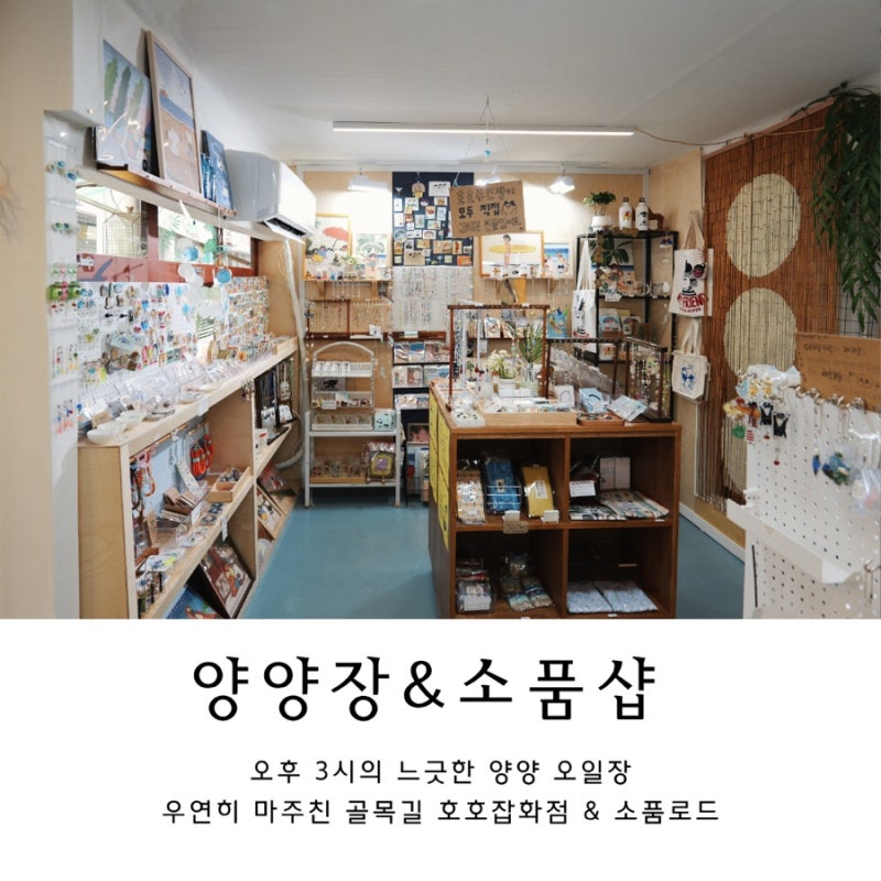 양양 오일장 방문 전 필독! 4시 파장 시간대 방문 꿀팁 및 소품로드 (호호잡화점)