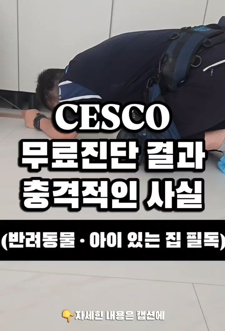 세스코 가정집 후기 | 비래해충 날벌레 때문에 설치한 포충기 월렌탈료 공유 오픈