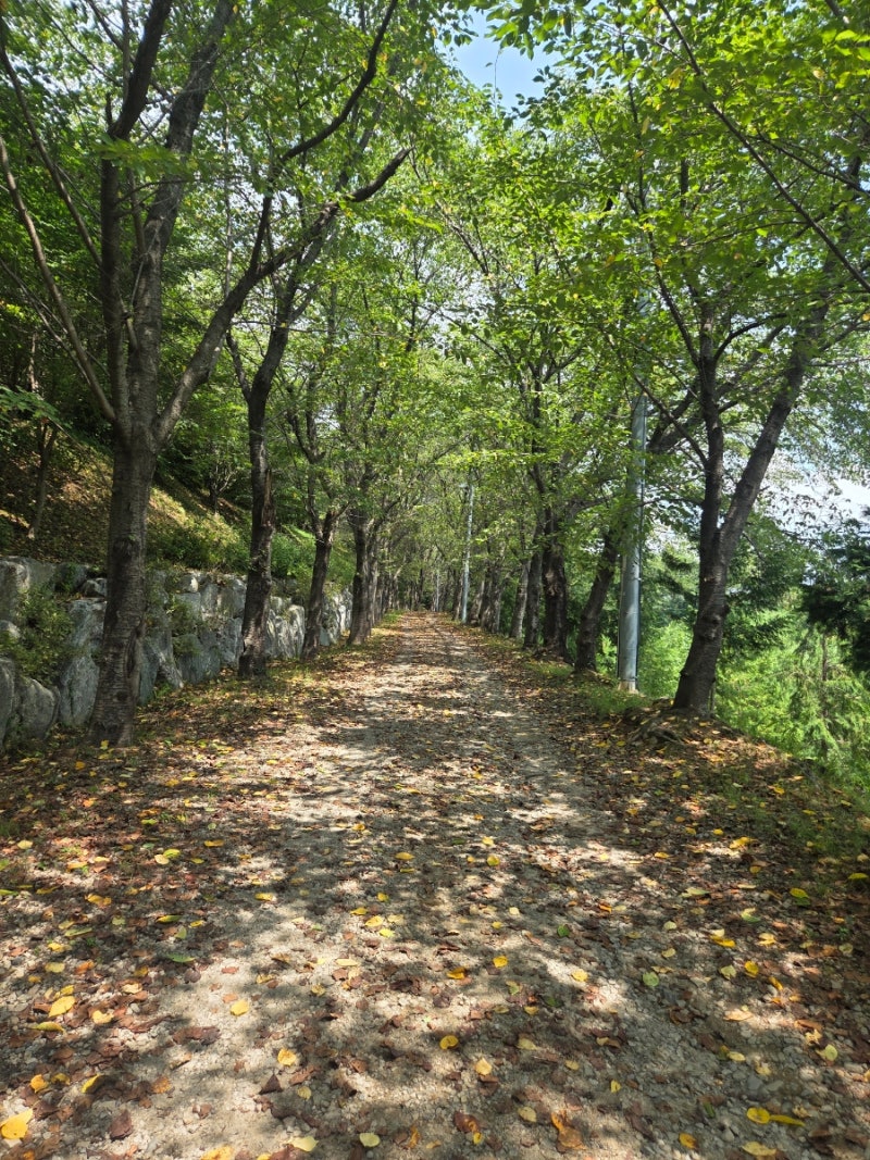 진주 ‘비봉산 봉황숲’, 깨끗하고 넓은 산책길과 많은 쉼터가 있는 곳
