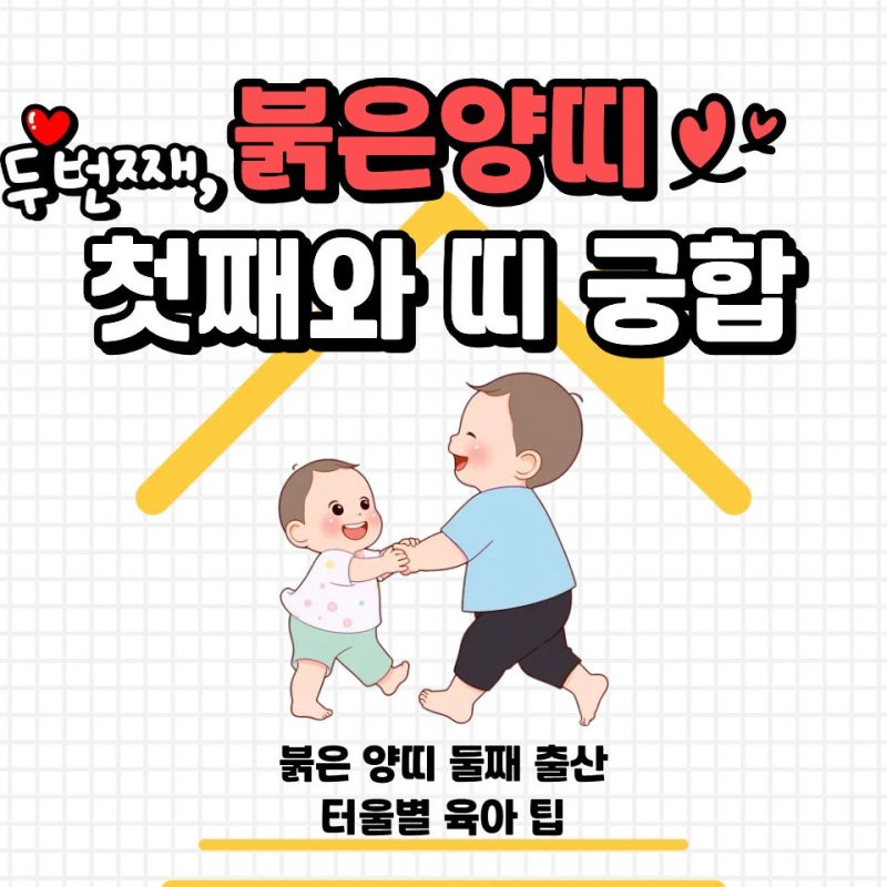 2027년 양띠 둘째 출산 가이드 첫째 띠 궁합 & 다둥이 육아 팁 2탄