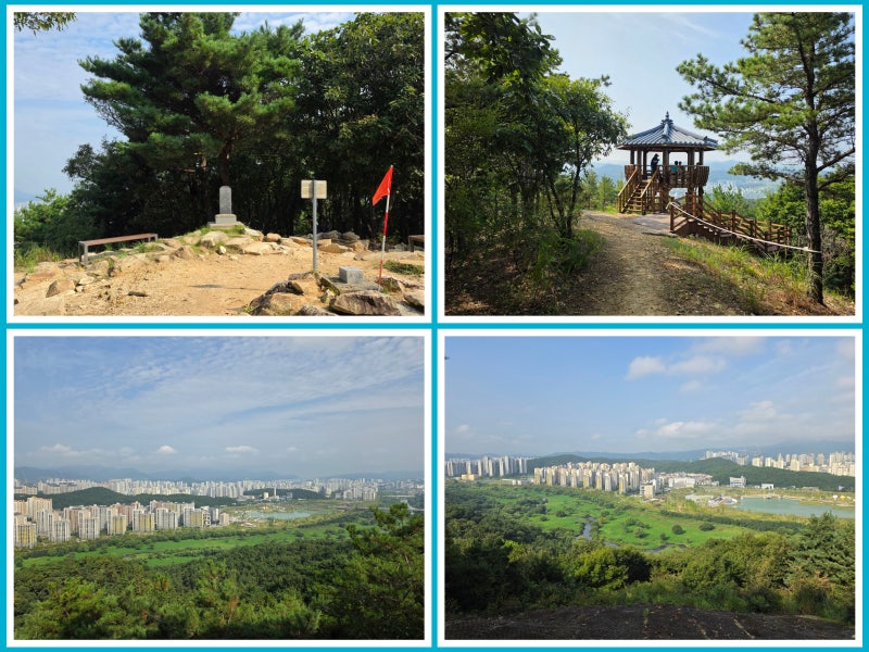 대전 도솔산 (정림근린공원-웜전회귀) 산행기 & 등산코스 등산지도 GPS앱 산행트랙정보 (26년 8....