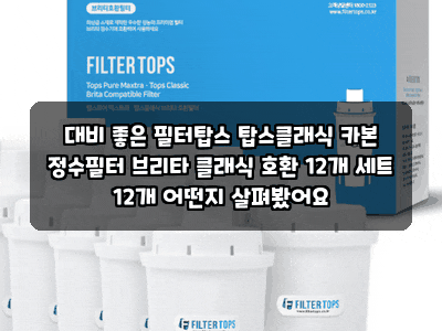 대비 좋은 필터탑스 탑스클래식 카본 정수필터 브리타 클래식 호환 12개 세트 12개 어떤지 살....