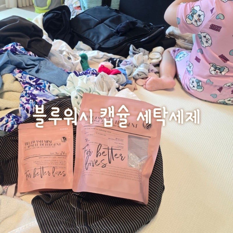 블루워시 캡슐세제 건조기시트 기분 좋은 포근함 스위트 플로럴향