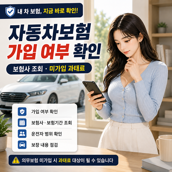 내 차 자동차보험 어디에 가입했을까? 미가입 과태료도 확인하세요