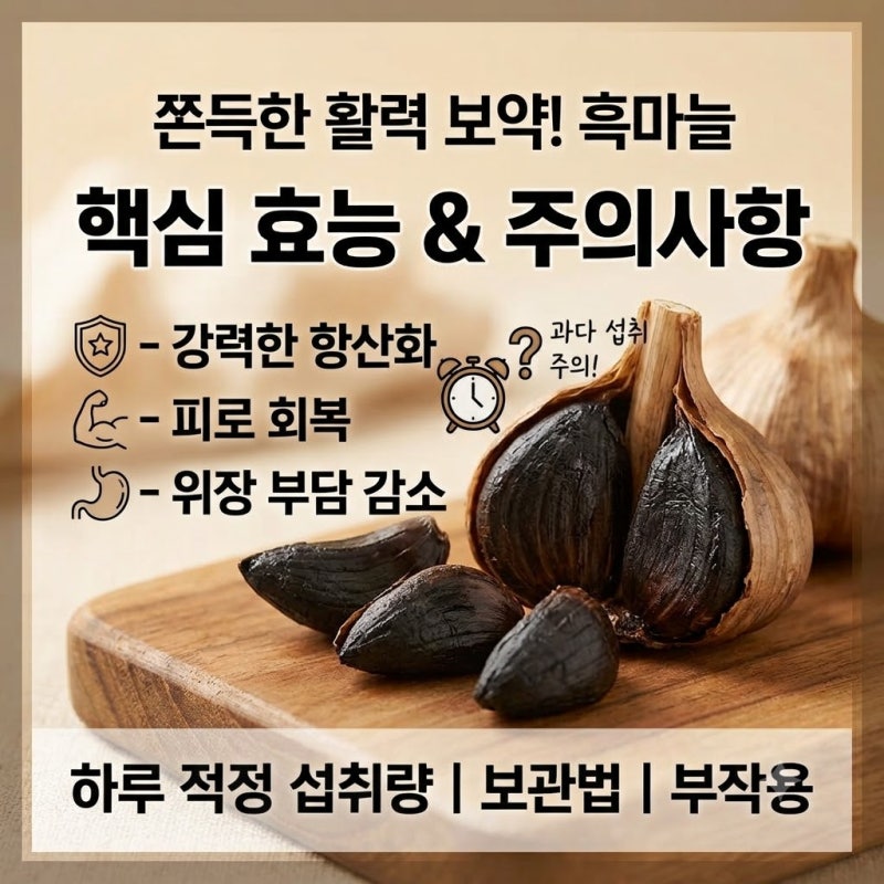 매일 챙겨 먹는 쫀득한 활력 보약! 흑마늘의 핵심 효능과 주의사항