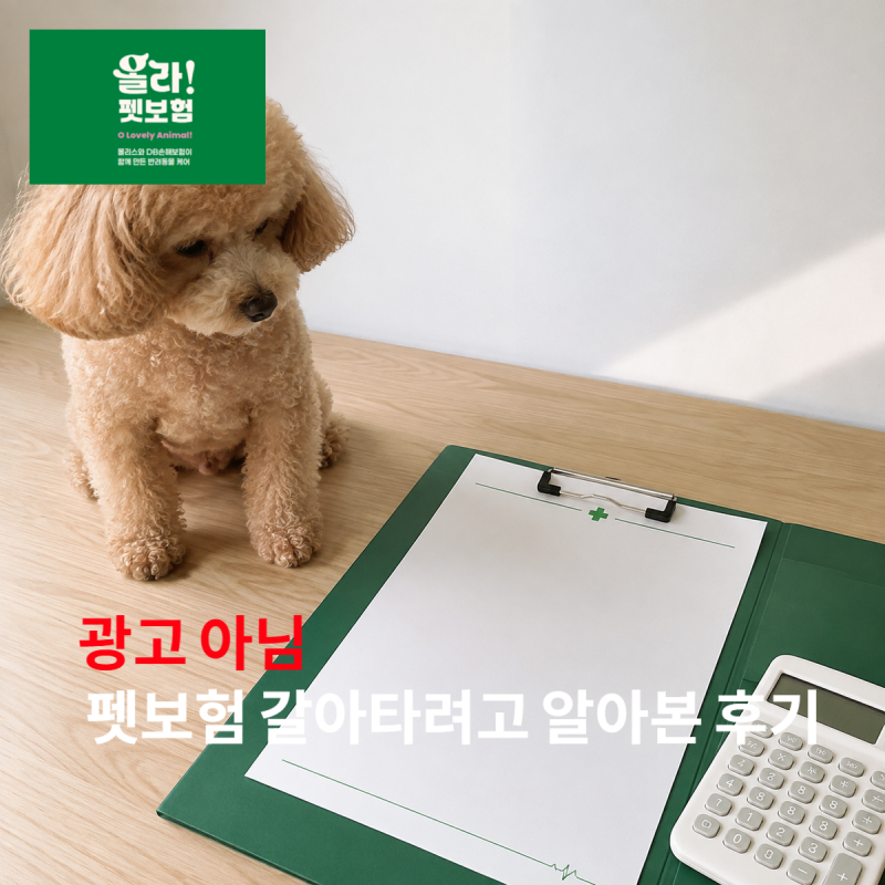 올라펫보험 보장내용·가입조건·보험료 조회, 청구방법 총정리