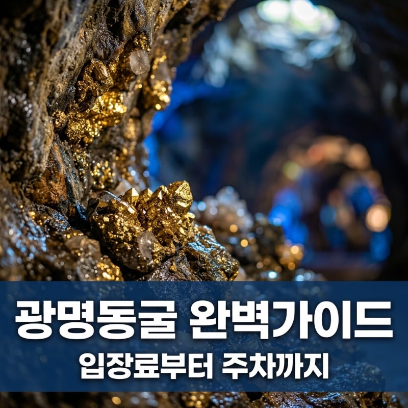 광명동굴 입장료 할인부터 주차 꿀팁까지! 아이와 가볼만한곳 완벽 정리