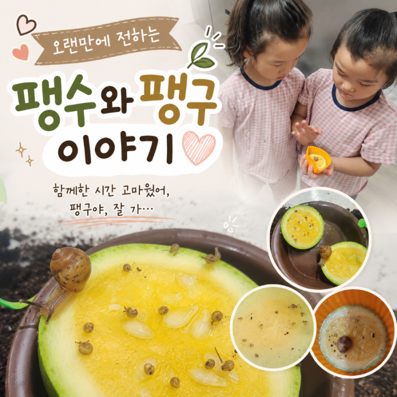 오랜만에 전하는 팽수와 팽구 이야기
