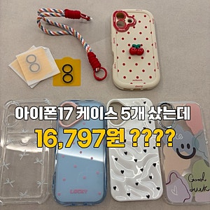 아이폰17 케이스 추천? 테무에서 5개나 사봤어요! 총 16,797원 내돈내산 후기