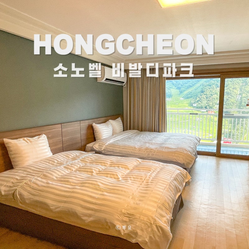 홍천 소노벨 비발디파크 오션월드 입장권 할인 꿀팁 B동 패밀리 숙소 식당 놀거리
