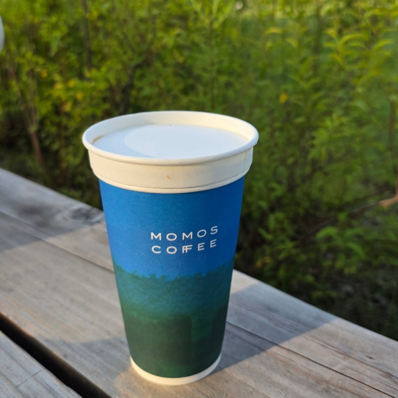 You Quiz's Momos Coffee CEO Jeon Joo-yeon: A Review of Busan Cafe Momos Coffee Domoheon Branch in Gwangalli